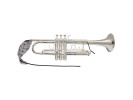 BG France Lead pipe Swab - Trumpet  