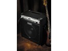 Fender Bassman 250 / 115 Combo - 250 Watts ** 