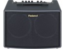 Roland AC-60 Acoustic Chorus Guitar Amplifer 