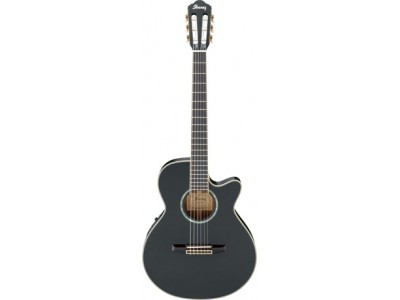 Ibanez AEG10NE-BK Ibanez AEG10NE-BK