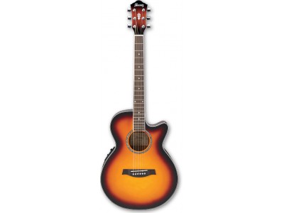Ibanez AEG10E-VS 