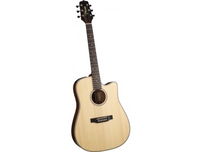 Takamine EG541SSC Takamine EG541SSC
