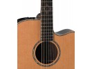 Takamine EG363SC 