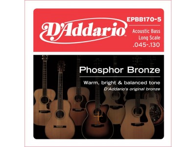 D'Addario EPBB170-5 SET ACOUS BASS PB 45-130 5 STR 