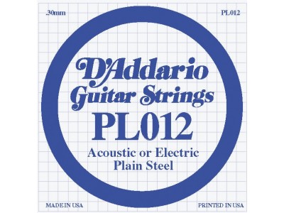 D'Addario PL012 SINGLE PLAIN STEEL 012 
