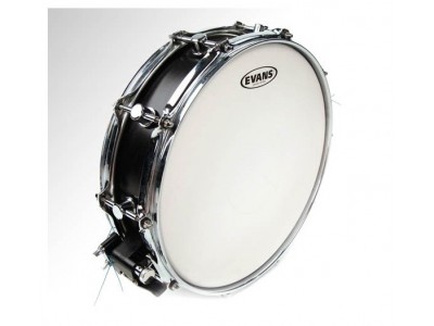 Evans B14G1RD 14" PWR CTR REV DOT CTD 