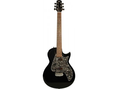 Taylor SB1-X SolidBody Classic. Single Cutaway Taylor SB1-X SolidBody Classic. Single Cutaway
